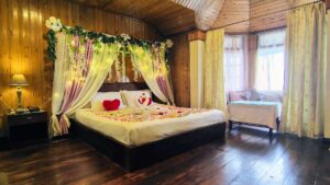 Honeymoon Package Villa Everest Darjeeling