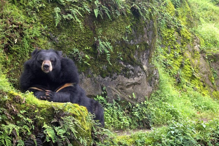 Darjeeling Sightseeing: 7 Best Places to Visit